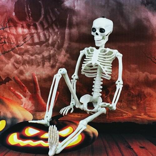 Fashion Popular Creative Life Like Human Skeleton Halloween Decoration Party Prop New 40CM