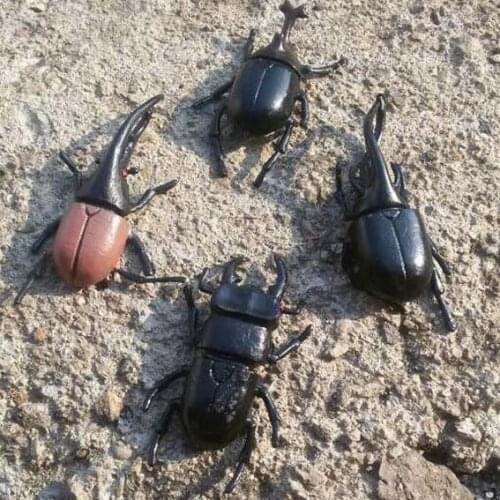 6pcs/lot 5.5cm simulation beetle Toys Special Lifelike Model Simulation insect Toy nursery teaching aids joke toys GYH