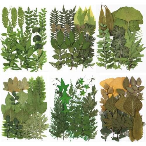 1 Pack Dried Flowers UV Resin Natural Flower Stickers Dry Beauty Decal For DIY Epoxy Resin Filling Jewelry Decoration