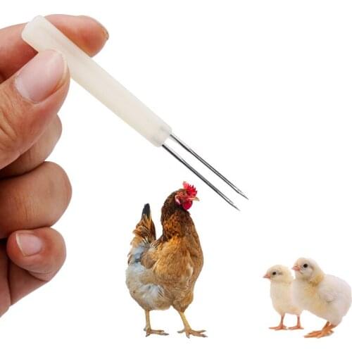 40Pcs Poultry Acne Needle Vaccination Needle with Double Thorn Acne Needle Vaccination Poultry Breeding Equipment Wholesale
