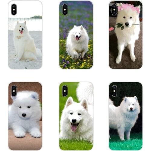 Cute white Samoyed puppy dog pets Phone Case Protector For Samsung Galaxy J1 J2 J3 J4 J5 J6 J7 J8 Plus 2018 Prime 2015 2016 2017