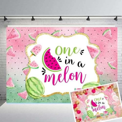 WatermelonTheme One in a Melon Backdrop Kids Birthday Party Banner Watercolor Summer Fruit Photography Background for Girls