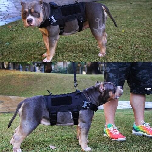 Tactical training dog vest new laser Cobra dog clothing outdoor equipment pet clothing