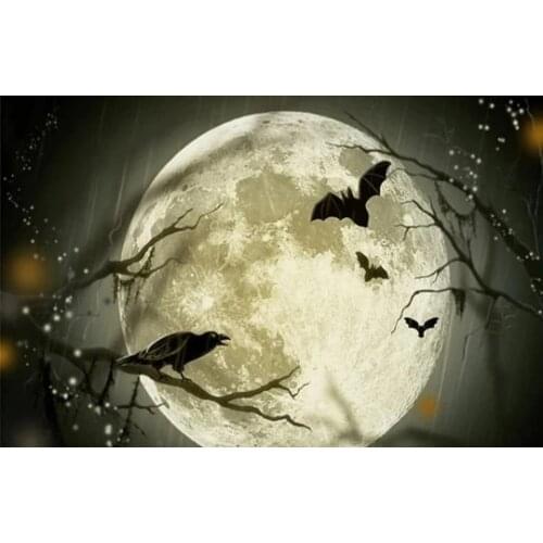 DIY spuare&round Vleermuizen met volle maan diamond painting