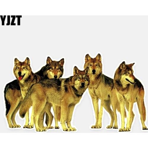 YJZT 14.5CM*8CM Fashion Ferocious Wolf PVC Animal Car Sticker Decal Decoration 5-0910