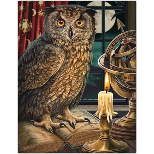 Full Square Round Drill 5D Diamond Painting Cross Stitch The Astrologer owl Diamond embroidery mosaic Home Decor Gift