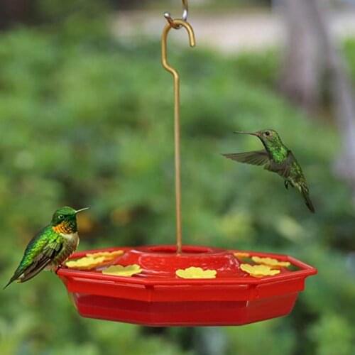 Bird Feeder Presentable Anti-rust Plastic Automatic Hanging Food Container for Outdoor