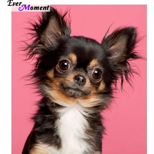 Diamond Embroidery Dog 5D DIY Diamond Painting Crystal Diamond Cross Stitch kit square Mosaic Set pattern Home Decor ASF398