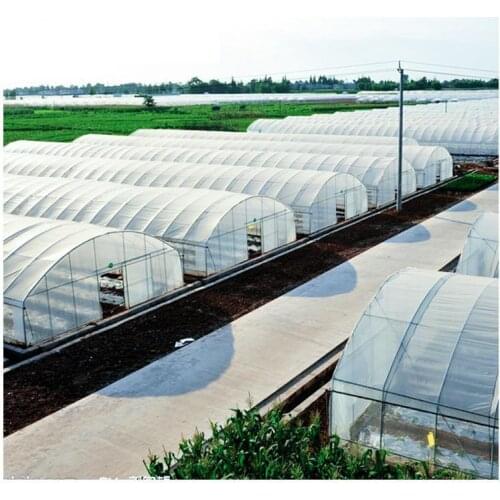 Economic hot galvanized Agricultural vegetable poly tunnel single-span green house