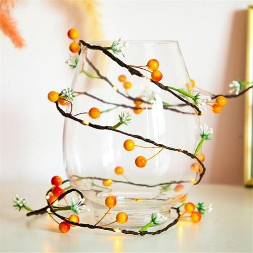20leds 10leds New Year Fruit String Light 2m 1m Holiday Vine Garland Lamp for Wedding Christmas Thanksgiving Day Home Decorative