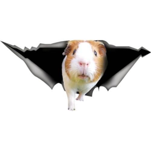 13cm X 6cm Guinea Pig Sticker Bumper Animal Car Stickers 3D Pet Graphic Vinyl Decal Car Window Laptop