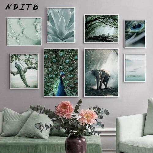 Nature Forest Canvas Poster Scenery Peacock Elephant Wall Art Painting Print Feather Decorative Picture Scandinavian Home Decor