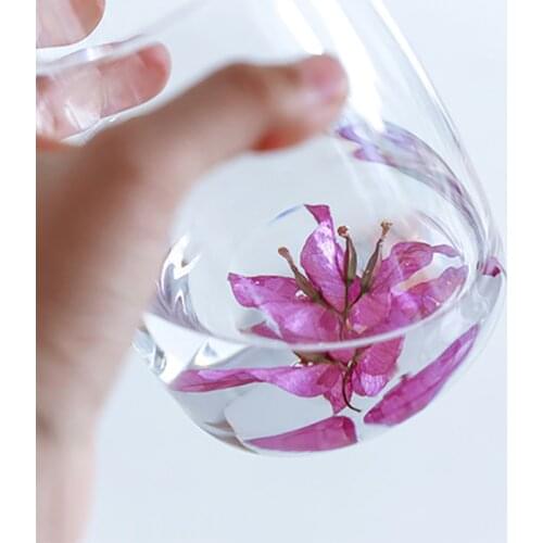 Glass Cup Milk Whiskey Tea Mugs Beer Cocktail Vodka Wine Flower Art Plant Specimen Resin Crystal Cups