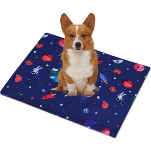New Printed Dog Mat Waterproof Pad Reusable Dog Bed Mats Dog Urine Pad Absorbent Protect Diaper Mat 40-100cm 3 Sizes