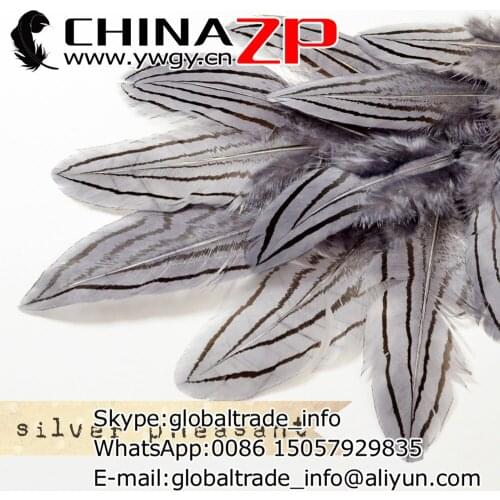 Wholesale in CHINAZP Factory 2000pcs/lot 8~10cm Length Hot Sale Dyed Grey Silver Pheasant Plumage Feathers for Crafts