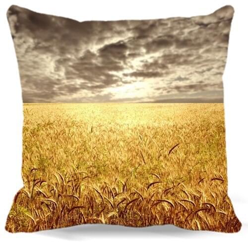 For car chair sofa Home Decorative The golden wheat fields Garden radish Printed cotton polyester Square Pillow Case