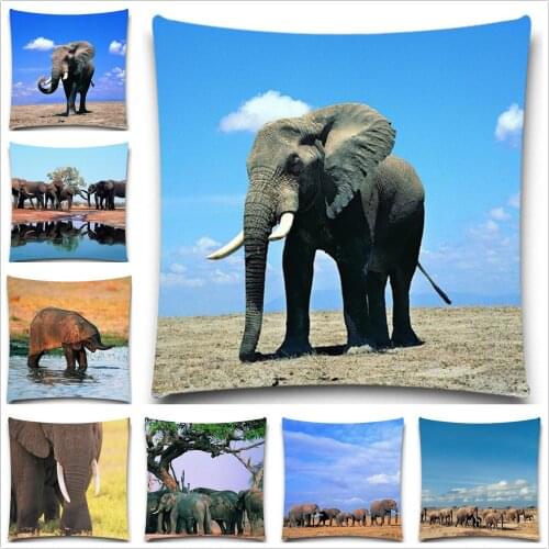 Elephant Pillow Cover for Sofa 5 size Cotton Polyester Square Decorative Throw Pillow Case soft Cushion Cover