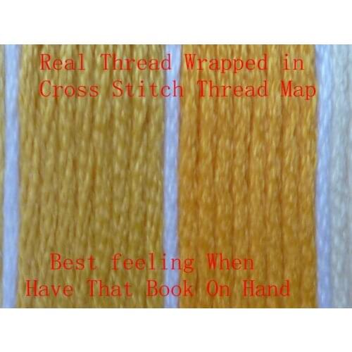 Embroidery Cross Stitch Thread Color Map Book Guide Genuine Thread Made For You to Choose Accurate Colors Free Shipping