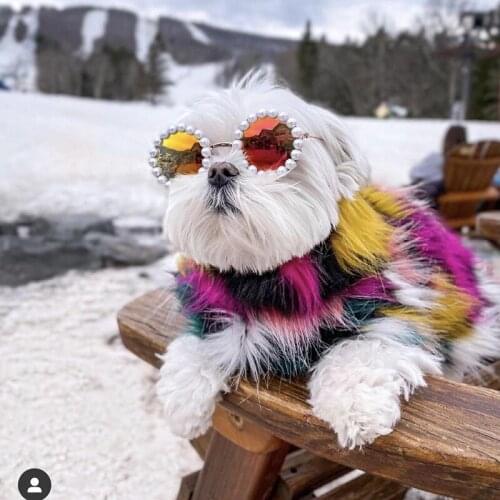 Pet Dog Sunglasses Pearl Lovely Round Cat Sunglasses Accessories Glasses Reflection Eye Wear Glasses For Small Dog Photos Props