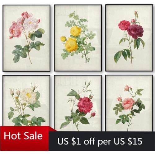 Botanical Rose Flower Vintage Poster Canvas Print Red Pink Yellow White Rose Floral Antique Wall Art Canvas Painting Home Decor