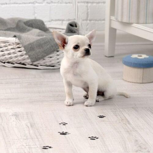 Dog Paw Protection Pads Anti Slip Durable Puppy Claw Protectors Comfortable Breathable Self Adhesive Stick Easy Paste