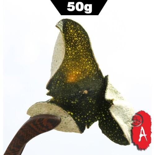 2019 Chinese Herbs Green XinHui "Chen Pi" Dried Tangerine Peel Pericarpium Reticulatae Orange Peel Tea Original Ecological 50g