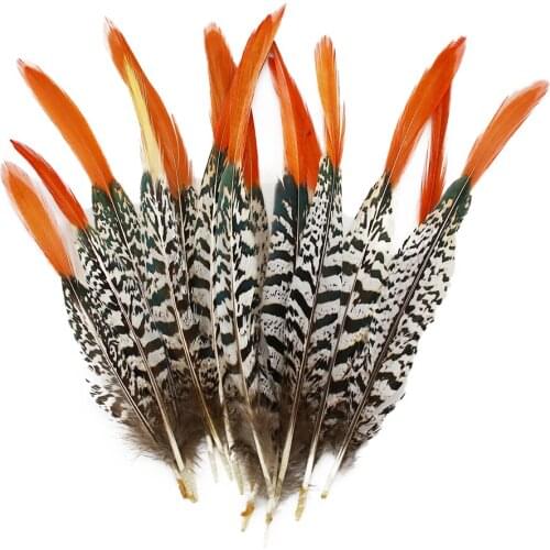Wholesale Premium Pheasant Tail red tip Feathers 2-14 inch / 5-35 cm 10-100 Pcs Diy carnival costume headress mask crafts