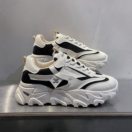 Lucyever Breathable Mesh Chunky Sneakers Women 2021 Autumn Lace Up Thick Sole Trainers Woman Non Slip Running Casual Shoes Mujer