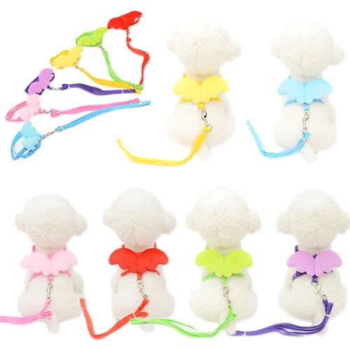 Wing Dog Harness Leash Rope Cherub Pet Cat Vest Chest Strap for Puppy Small Chihuahua Pug Teddy walking New