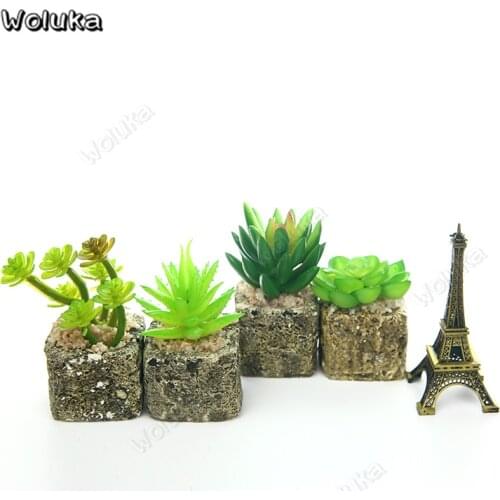 Mini Succulent Imitation Green Plant Stone Pot Studio Props Decoration Photo Background Product Photography Accessories CD50 T10