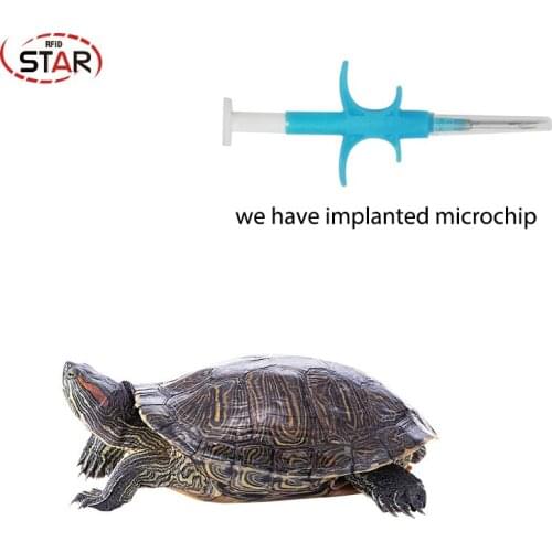Fdx-b smallest RFID Syringe Pet ID transponder Animal Chip 134.2KHz Injectable animal Microchip Syringe for dog pet