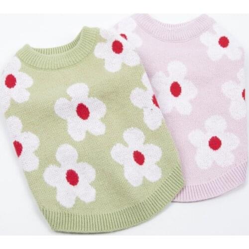 Cat Dog Sweater XXS XS Small Dog Clothes Chihuahua Yorkshire Puppy Coat Pomeranian maltese Schnauzer Clothing Pet Outfit Costume