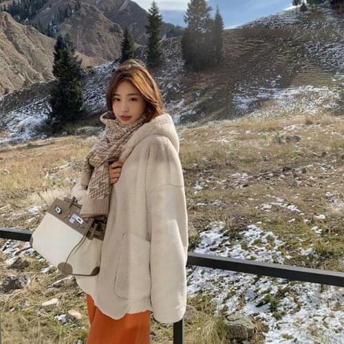 Women 2021 Autumn Winter Loose Fake Rabbit Fur Coats Female Solid Color Warm Hooded Jackets Ladies Fashion Faux Fur Outwear Q639