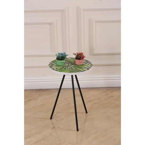 Modern Side table with Flower bed coffee tables table basse furniture living room table