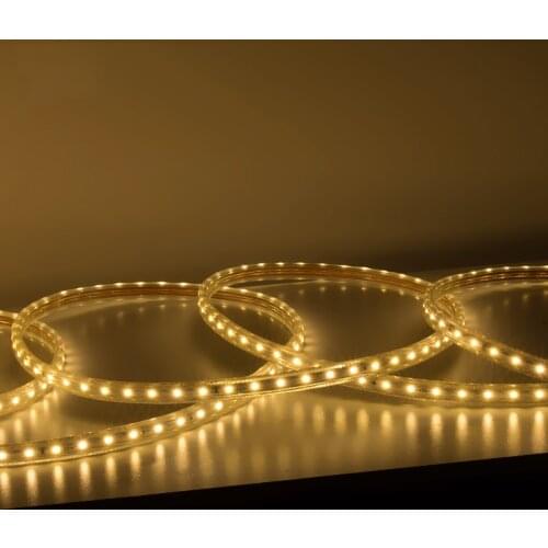 Led Strip Light SMD 5050 Led Tape Flexible Strips 60 Led/M Outdoor Decor Lighting with EU Plug 1-25M Lights 220V IP65 Waterproof