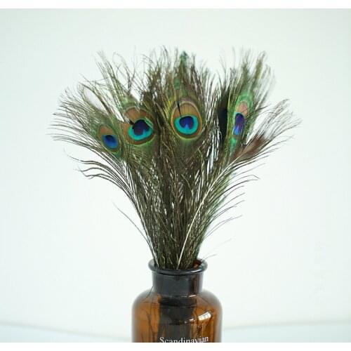 High Quality Natural Peacock Feather 20 40 cm DIY Photography Props Decoration Plumage Crafts for Photo studio accessories