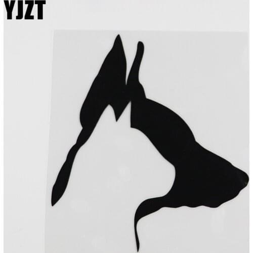 YJZT 11.4CMX12.9CM Funny Dog & Cat Pet Animal Silhouette Vinyl Car Sticker Black/Silver 8A-0027