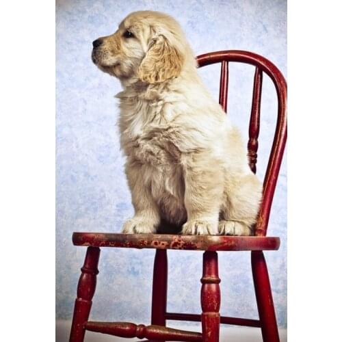 LIPHISFUN Full Drill Diamond Painting Embroidery Square/round DIY Home Decor Needlework Cute Dog Animal