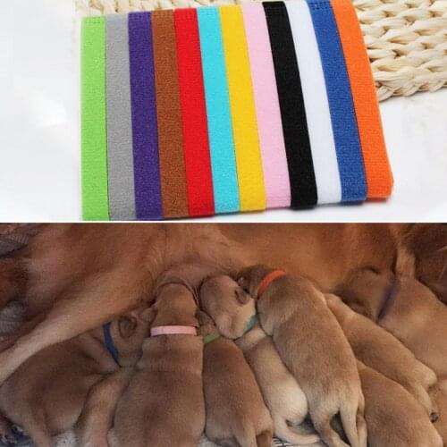 12 Pcs/Set Puppy Newborn Pets Identify Collars Adjustable Nylon Small Pet Dog Collars Kitten Necklace Puppy Collars