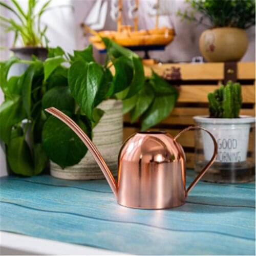 Long Spout Watering Pot Flower Watering Cans Succulent Spraying Bottle Stainless Steel Gardening Plants Irrigation Tool 500ML
