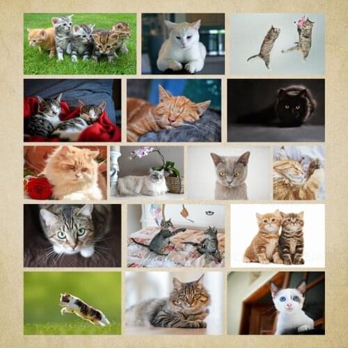 WEIWEI 5D Diamond Painting Full Round Cat Diamond Embroidery Animal Mosaic Cross Stitch Kit Pictures Beads Art Home Decor