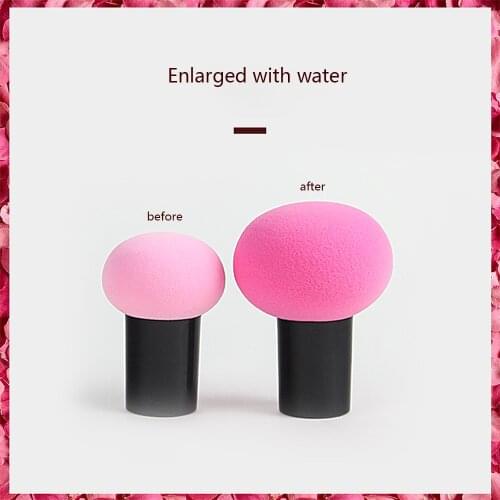 Kommen Sponges