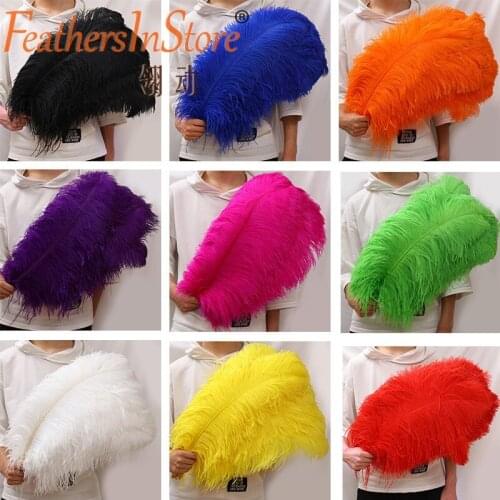 EMS Free shipping 200pcs/ lot 24-26inch 60-65cm ostrich feather wholesale ostrich plumes