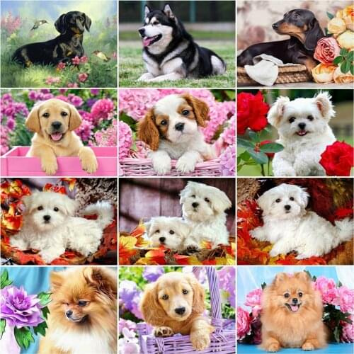 HUACAN Painting By Numbers Dog Animal DIY Pictures By Number Flower Kits Home Decor Drawing On Canvas HandPainted Art Gift