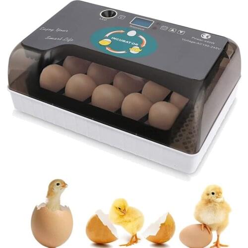 Clear Egg Incubator Fully Automatic Digital Brooder Machine Farm Hatchery Incubator for Chicken Ducks Lizards Reptile Incubator