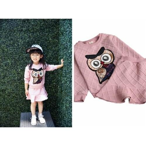 2019 Girls Clothes Set New Autumn Cotton Kid Clothing Suit For Girl Long Sleeve Embroidery Owl Sweatshirt+Skirt Fashion Fall Set