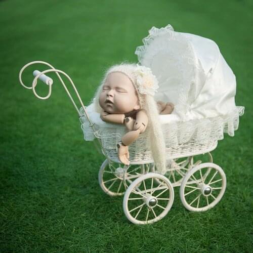 Newborn Photography Trolley Car Props Baby Girl Photo Shoot Posing Studio Cradle Basket Props Infant bebe fotografia Accessories