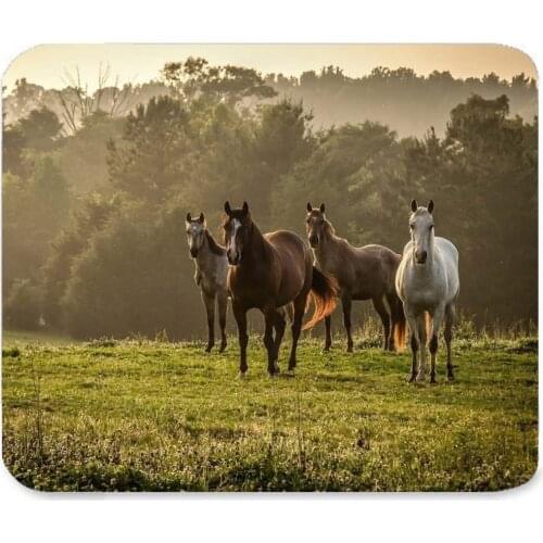 Beautiful Animal Cool Awesome Running Wild Horses Fantasy Paint Design Art Best Gift Unique Custom Rectangle Mouse Pad
