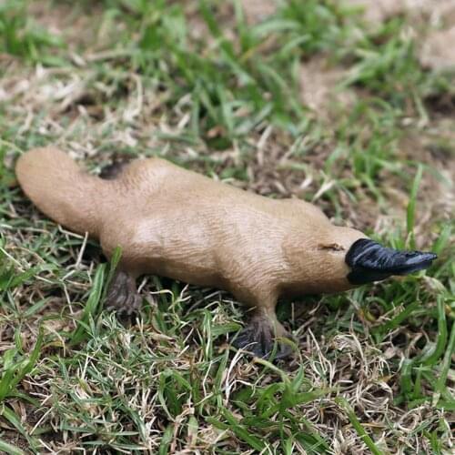 Realistic Platypus Animal Figurine Sculpture Model Desktop Decor Kids Educational Toys for Children Gift