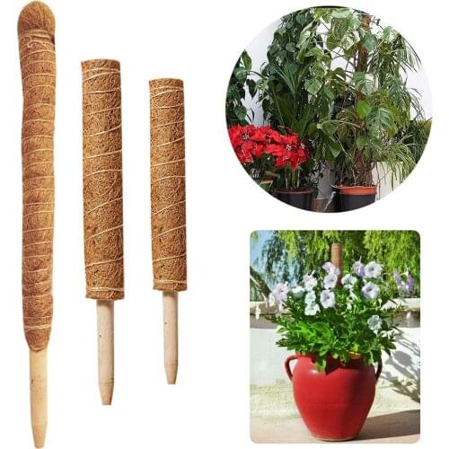 30/40/50cm Coir Moss Totem Pole Creeper Plant Support Climbing Extension Stick Indoor Garden Plants Flower Pot Holder